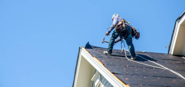 Best Roof Gutter Cleaning  in Stonegate, CO